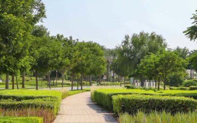 Landscaping in the UAE: Creating Beautiful Outdoor Spaces